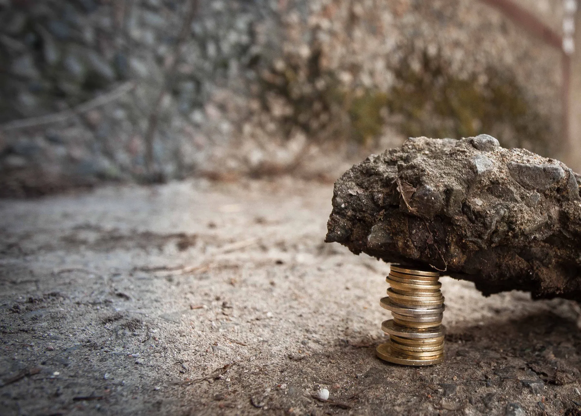 Капитал - Депутаты предложили создать Земельный банк