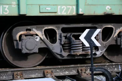 Фото: Руслан Пряников