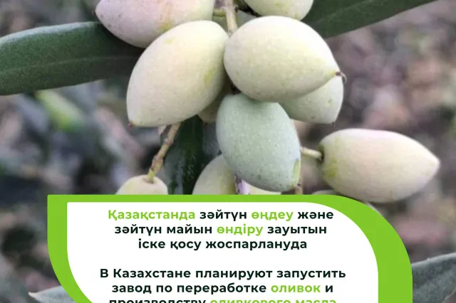Фото: Министерство сельского хозяйства РК 