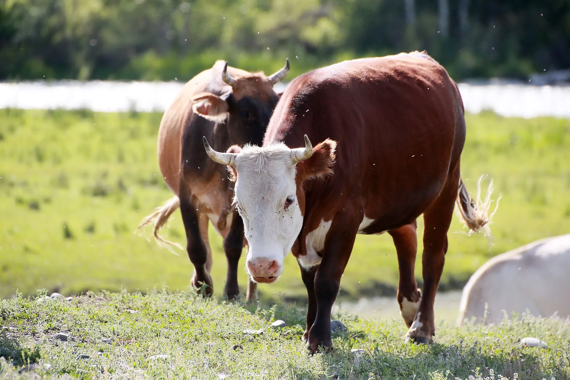 Фото: Руслан Пряников