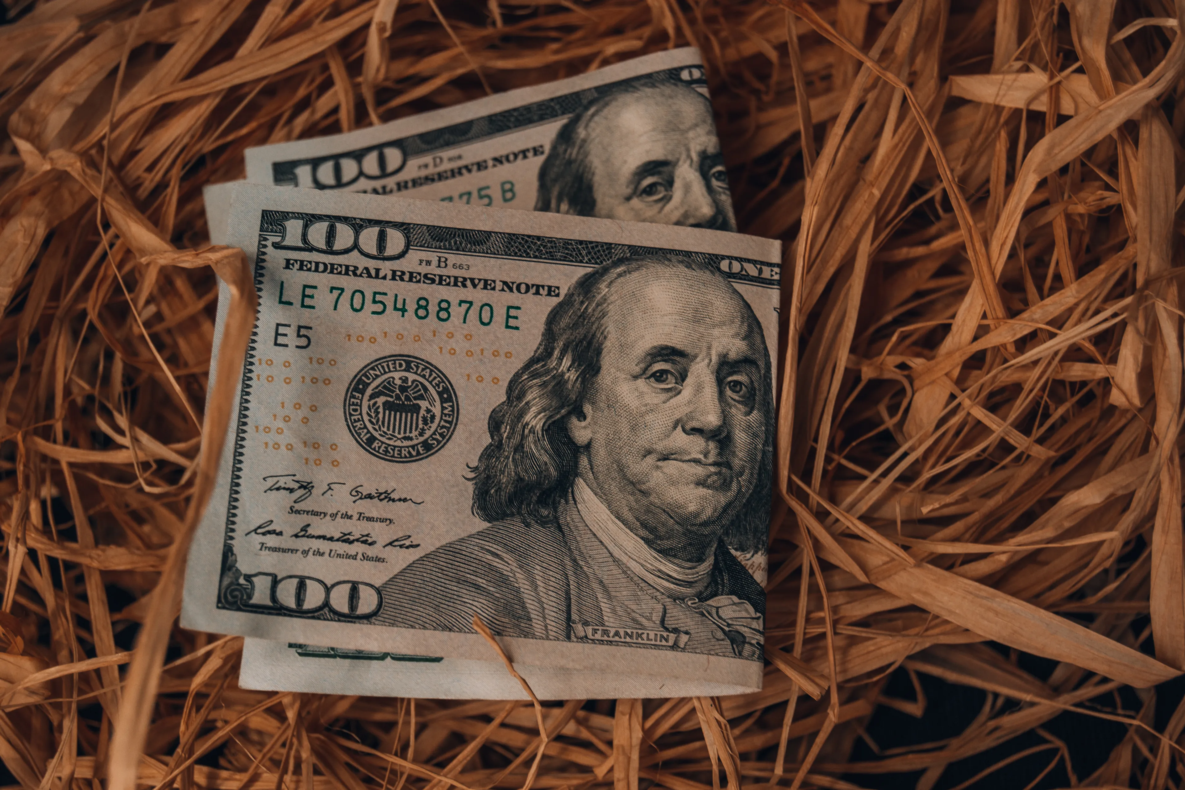 Фото: Валерия Змейкова