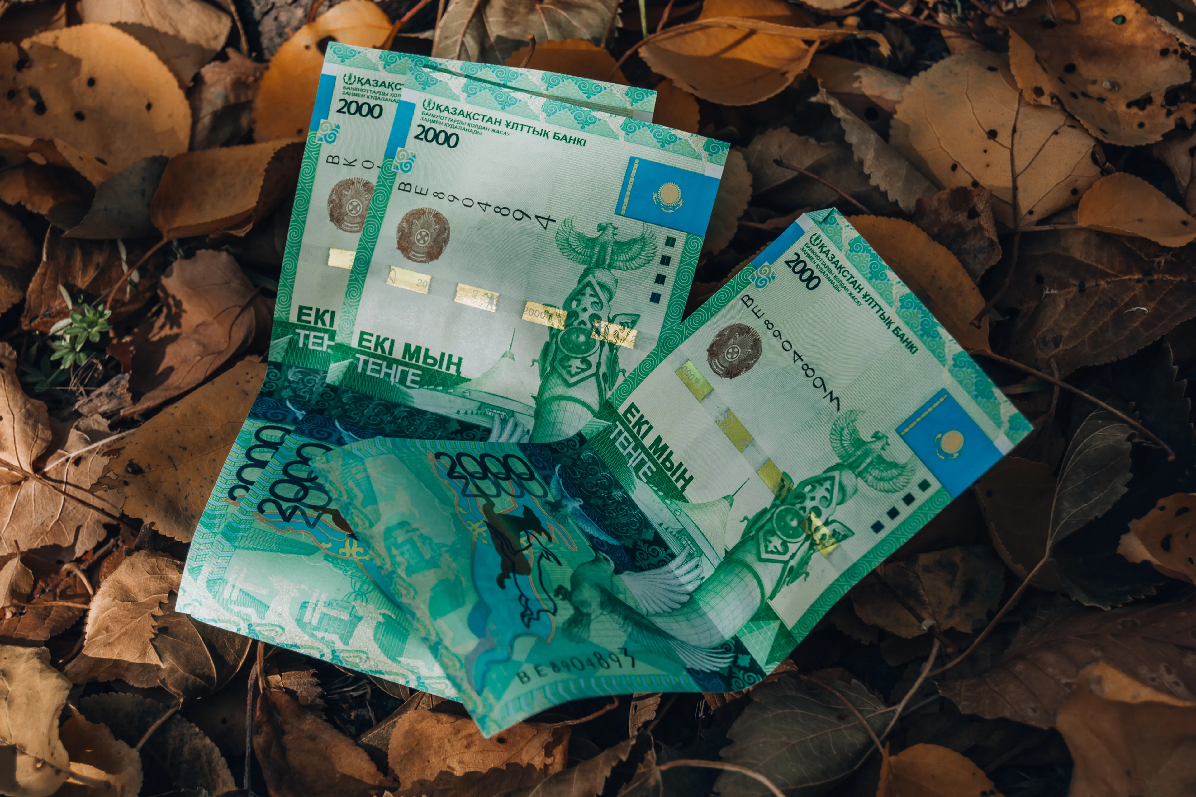 Фото: Валерия Змейкова