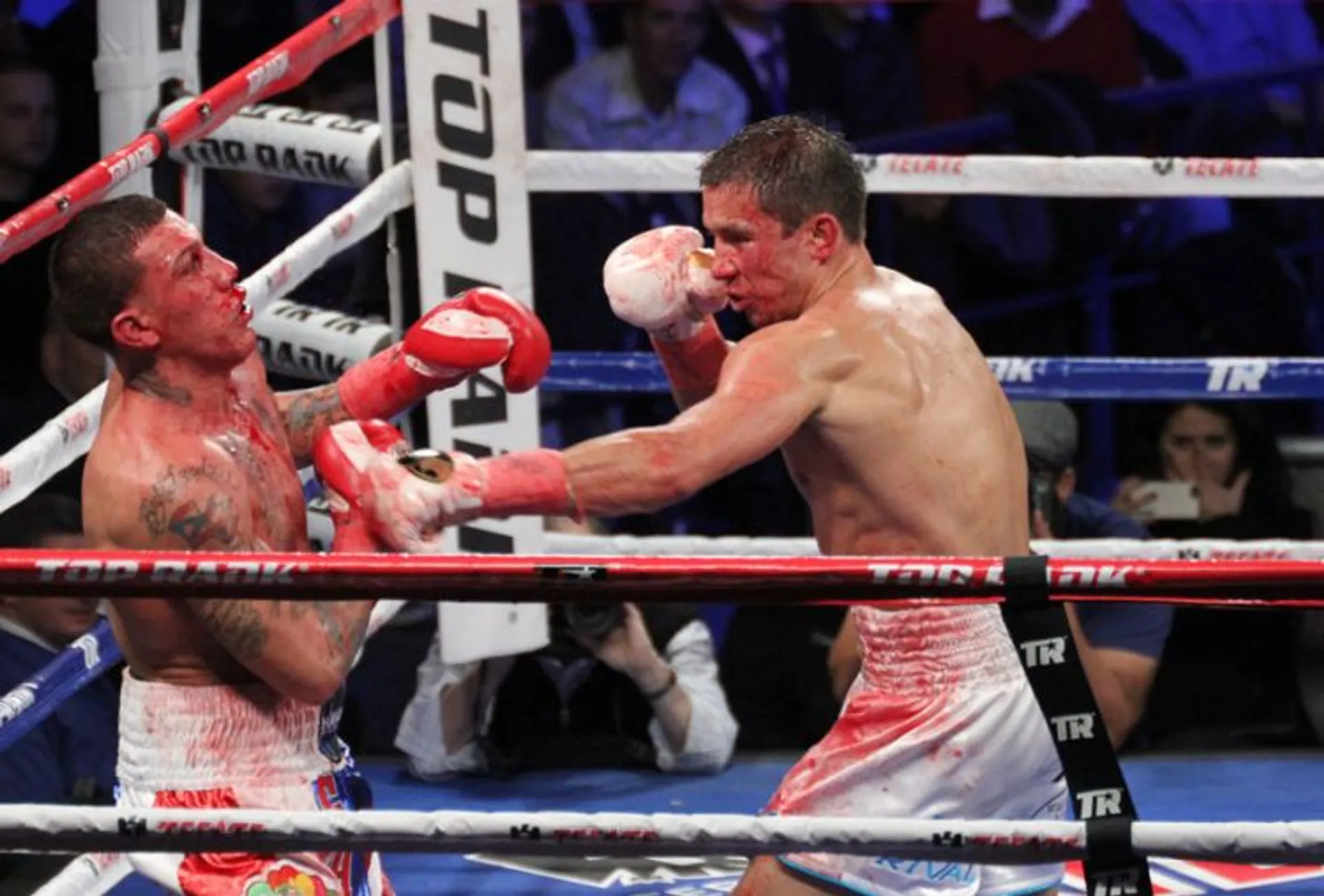 Капитал - Геннадий Головкин — лучший боксер октября по версии WBA