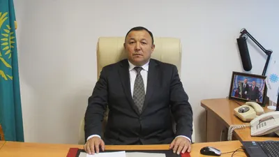 Назначен председатель Комитета лесного хозяйства и животного мира