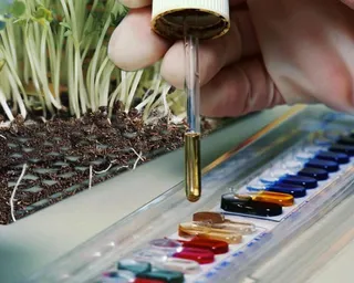 Капитал - Эксперты изучают почву и воду возле Байконура