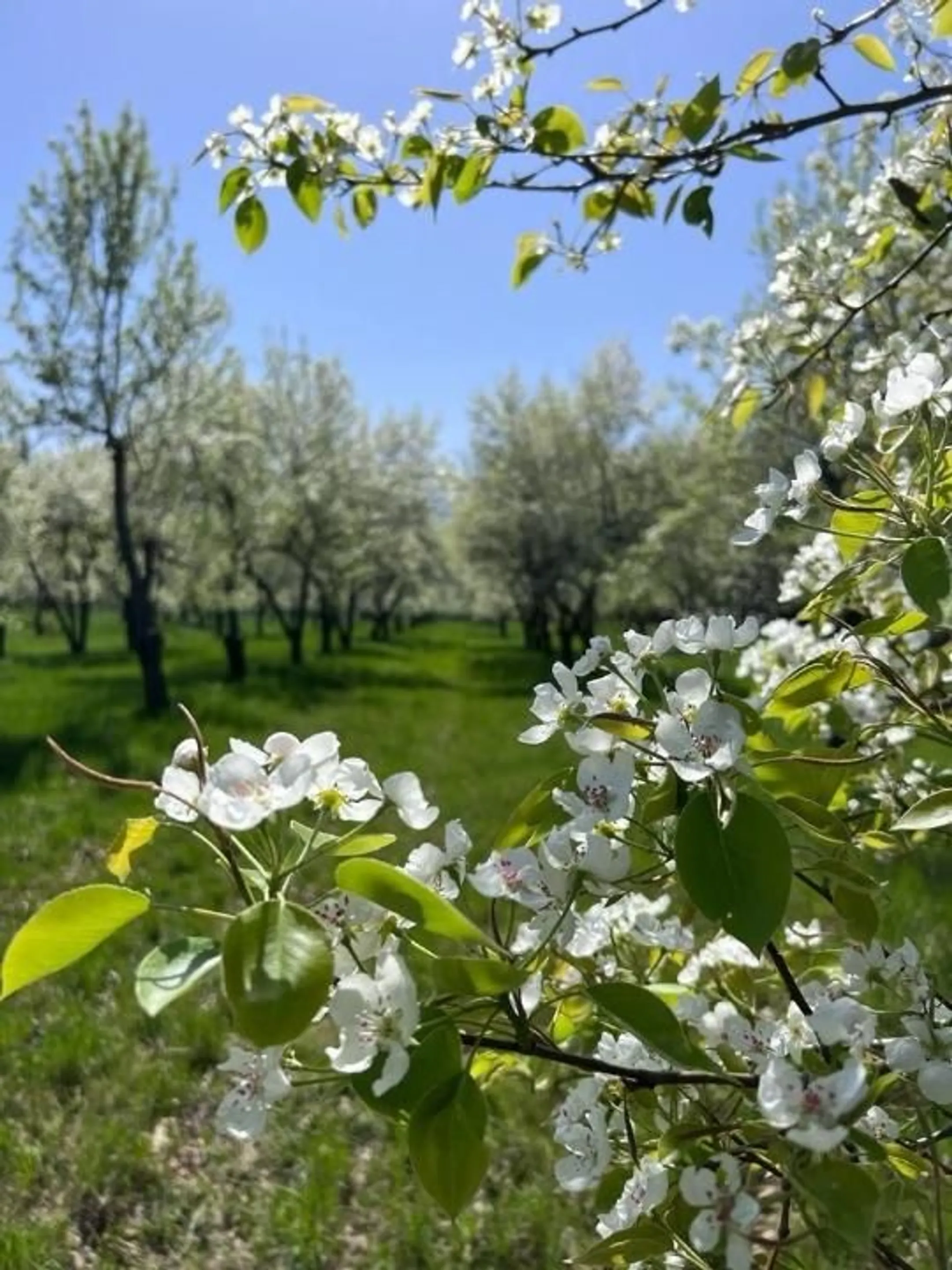 Изображение Kapital.kz