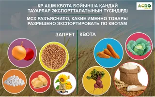 Капитал - Какие товары разрешено экспортировать по квотам