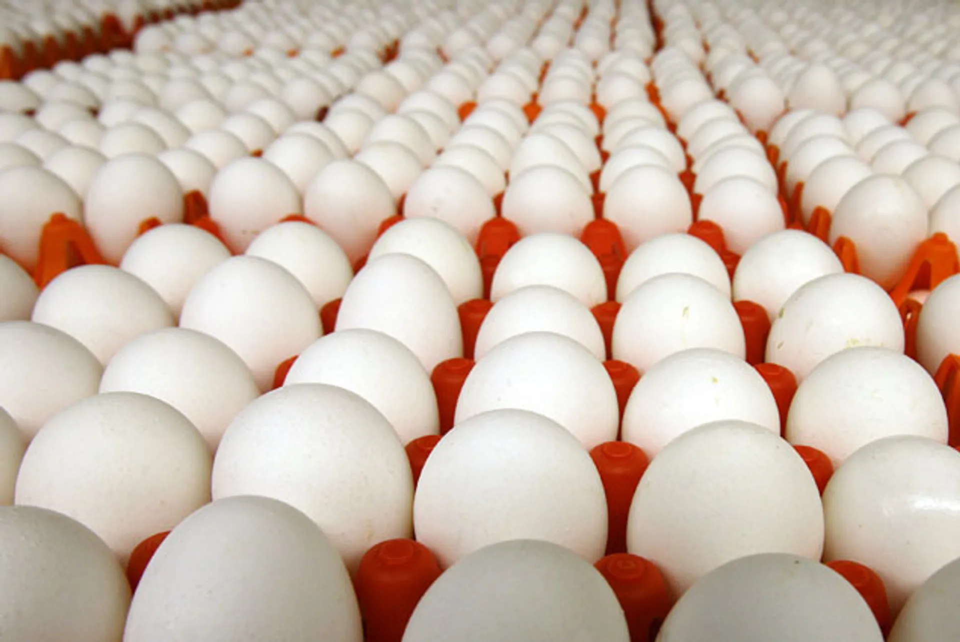 Капитал - Возможность ограничения импорта из России в РК обсуждается