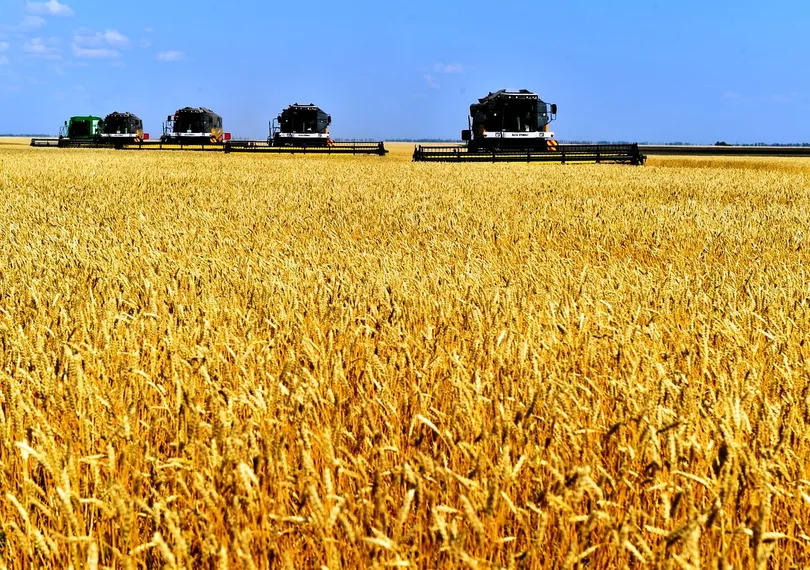 Капитал - Арман Евниев: Проблемы с хранением нового урожая не будет