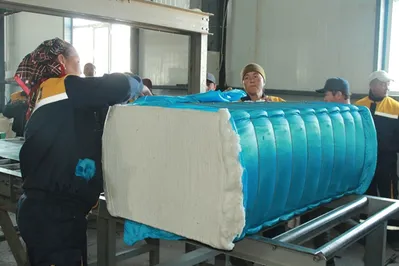 На юге РК запущен завод по переработке хлопка