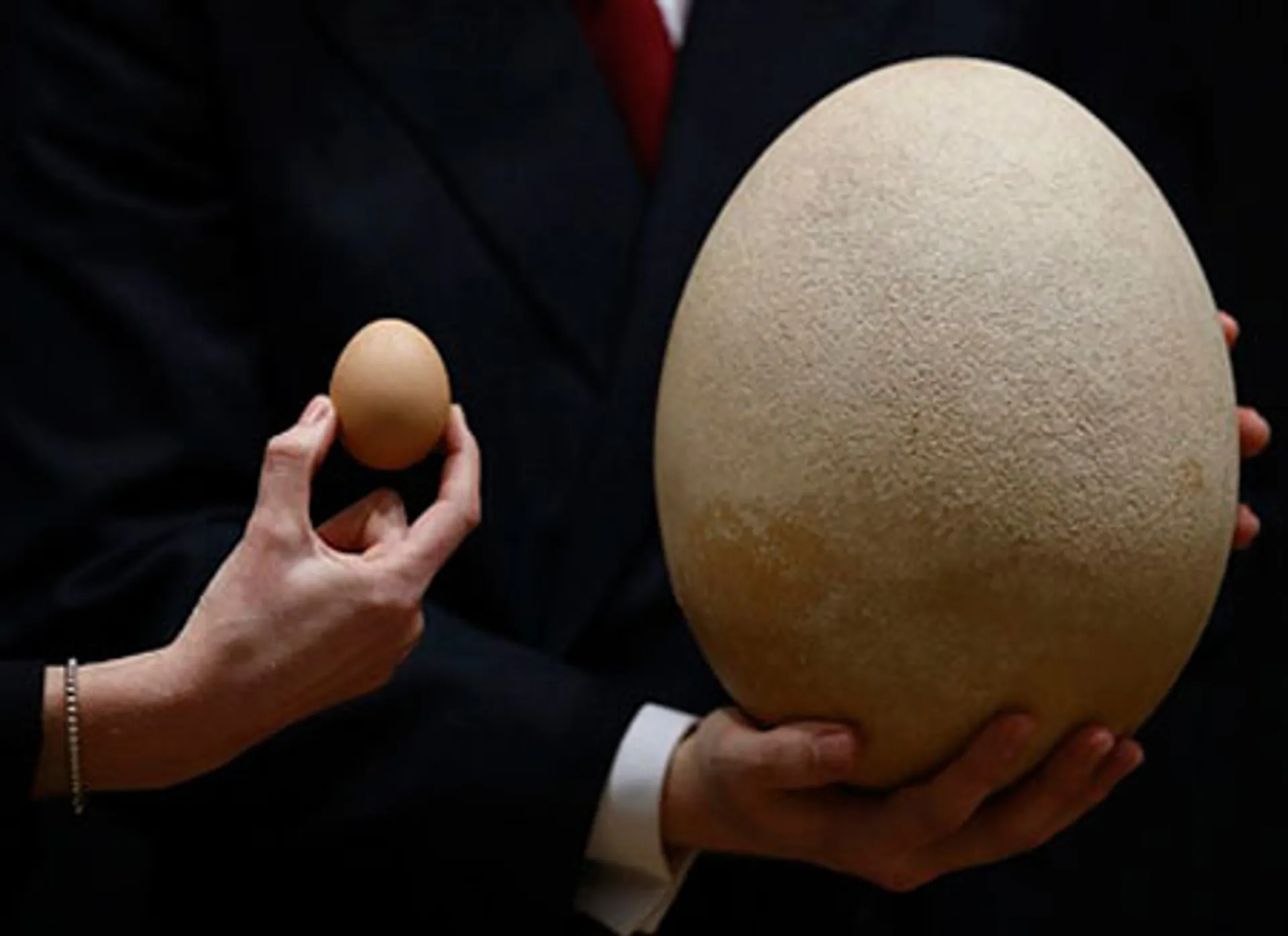 Капитал - Яйцо на Christie's  купили за $102 тыс.