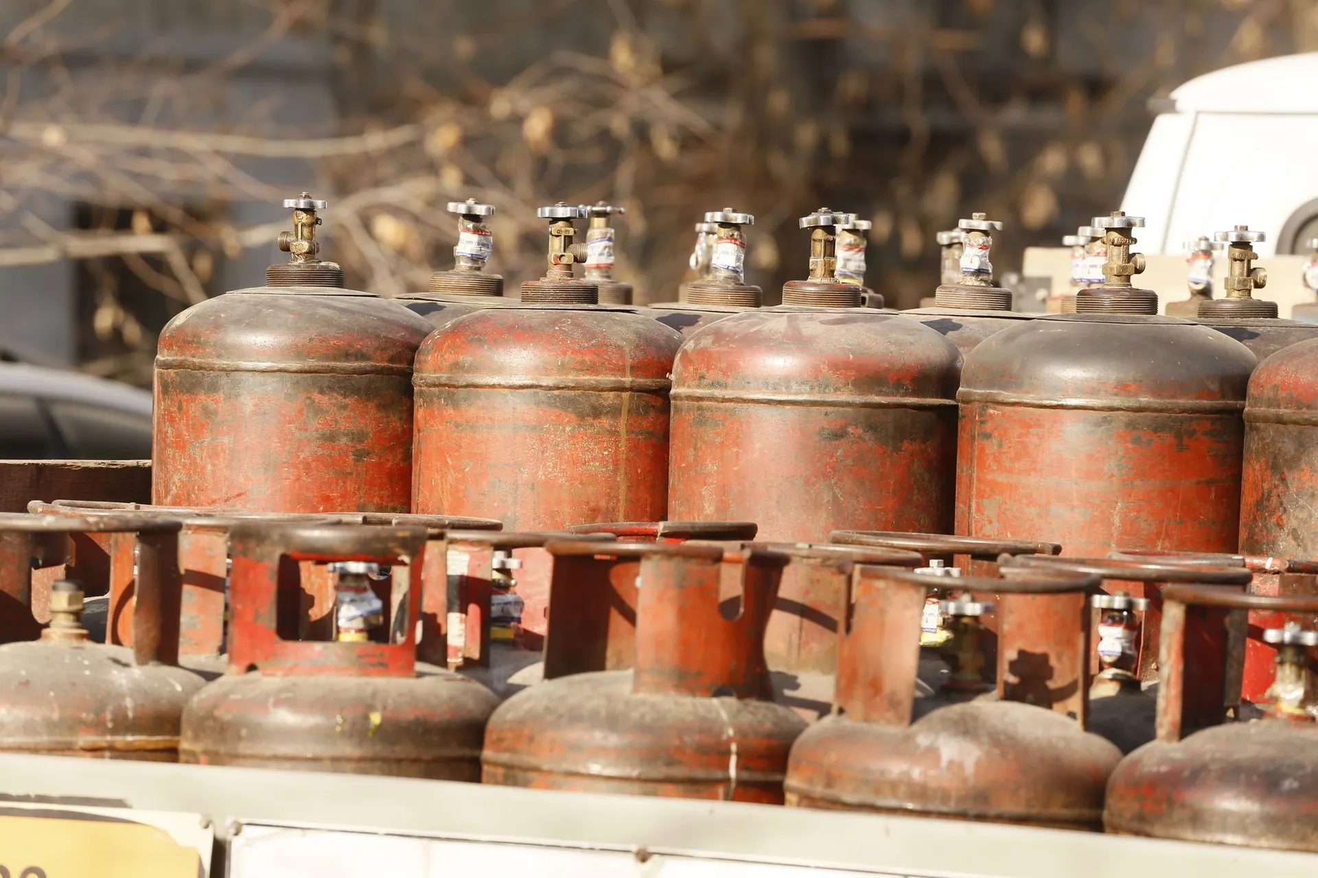 Фото: Руслан Пряников