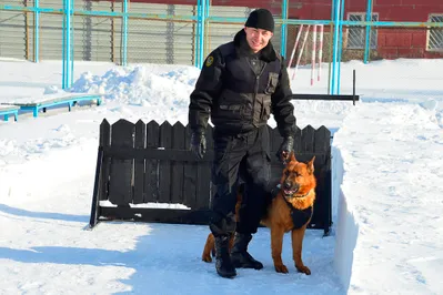 Служебные собаки военной полиции поедут на конкурс