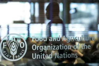 Капитал - Потребление рыбы и фруктов в мире сократится