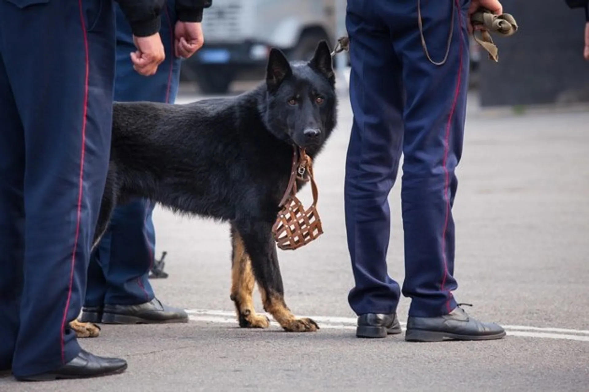 Капитал - В Таразе «заминировали» несколько объектов