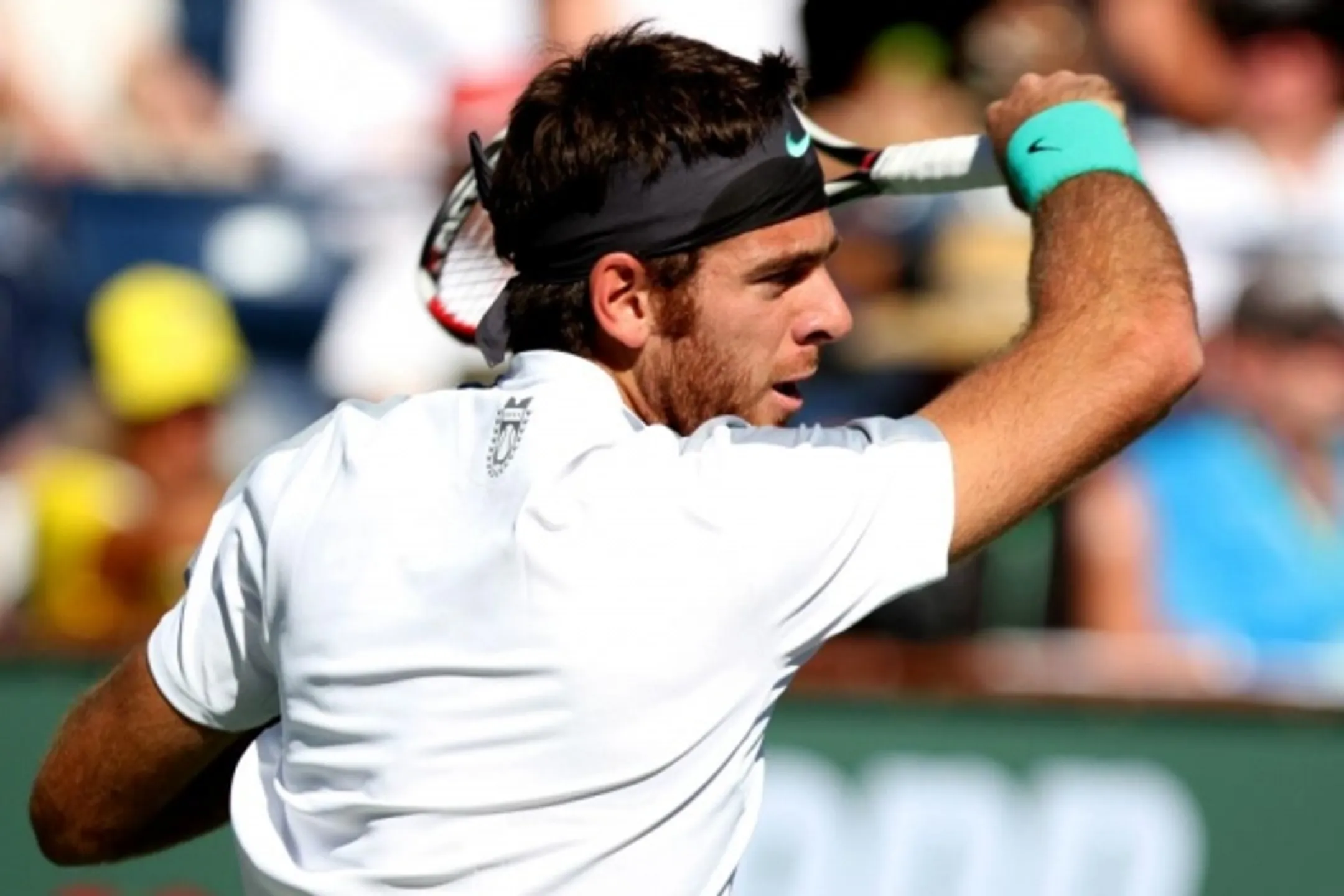 Дель Потро прервал победную серию Новака Джоковича - Image Kapital.kz