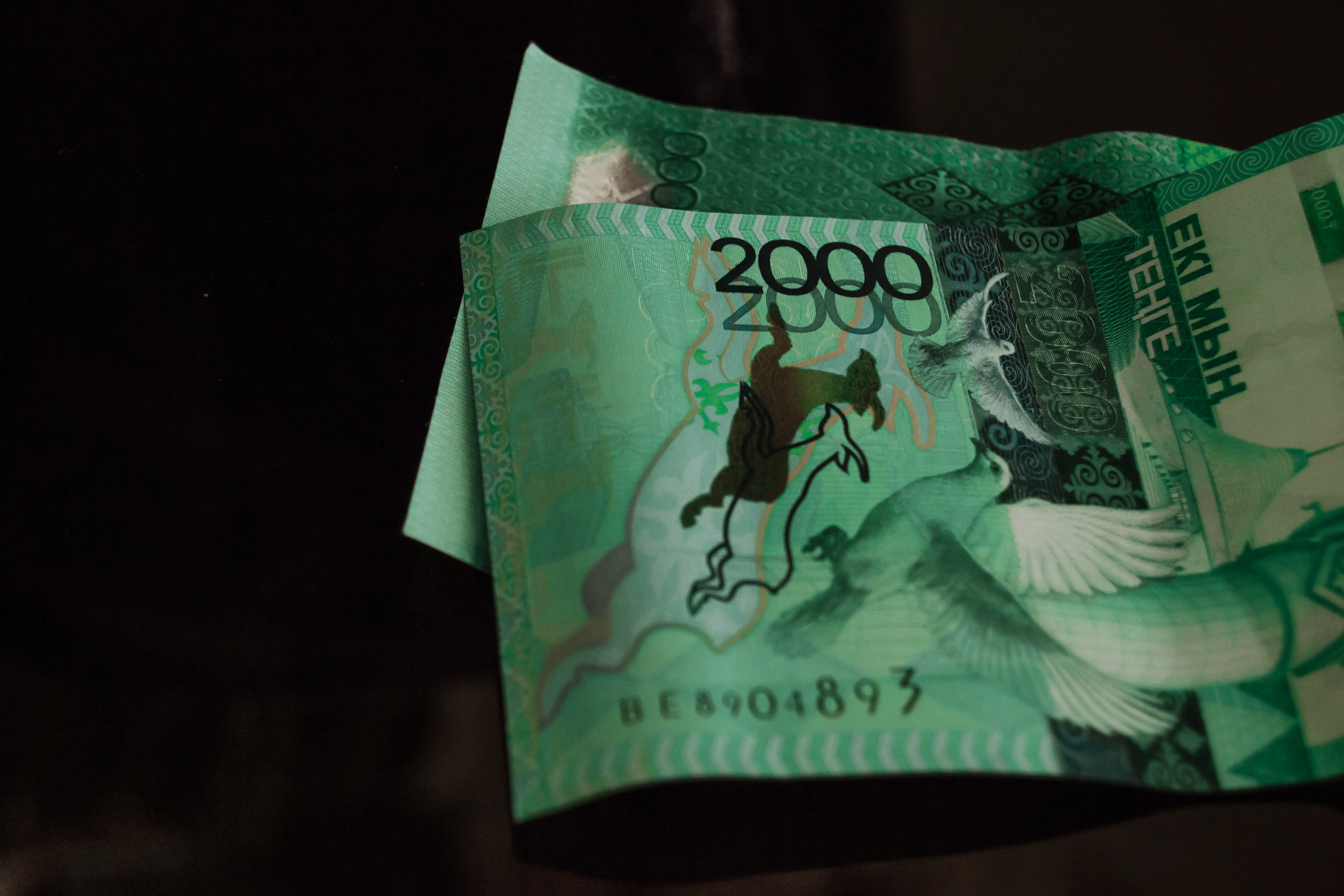 Фото: Валерия Змейкова