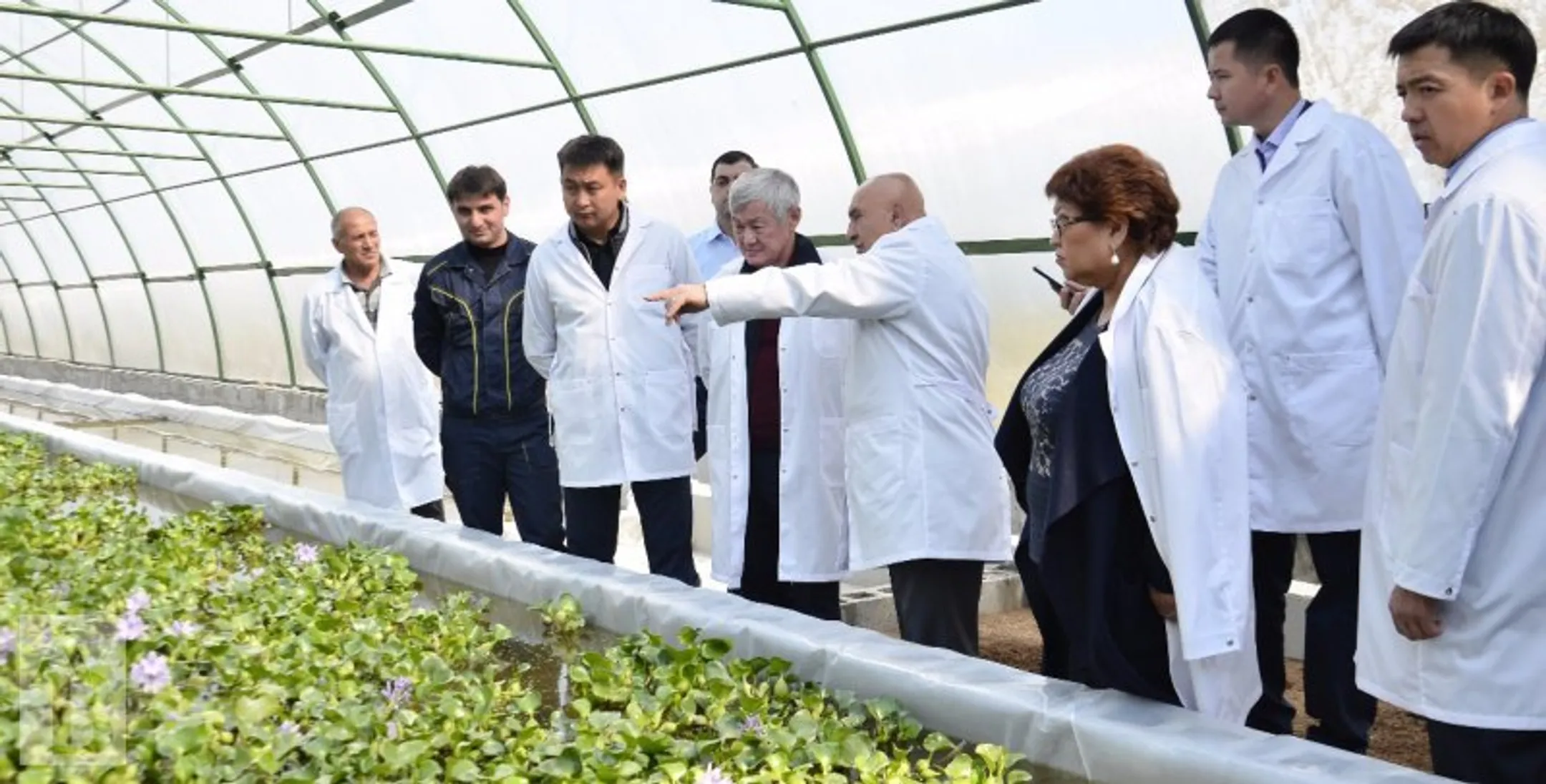 Два тепличных комплекса появятся в Актобе - Image Kapital.kz