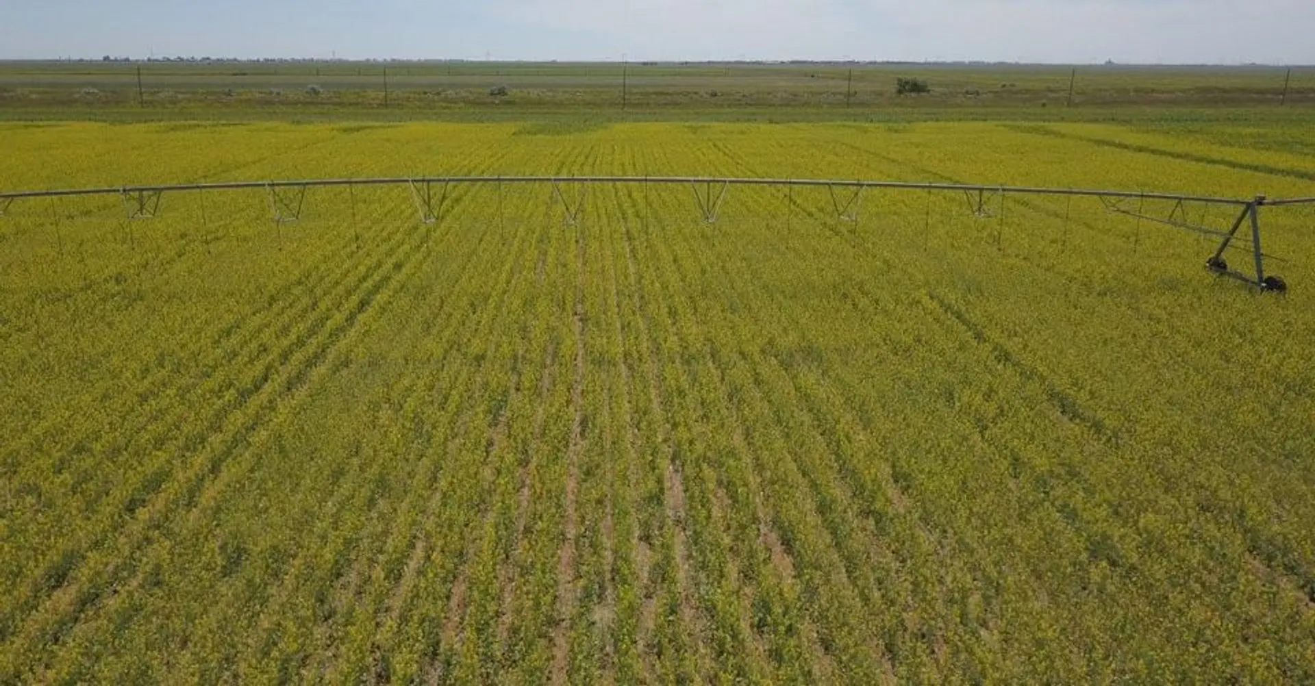 Фото: Министерство водных ресурсов и ирригации РК 