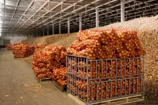 Капитал - На 309 млн тенге пополнят стабфонд Актюбинской области