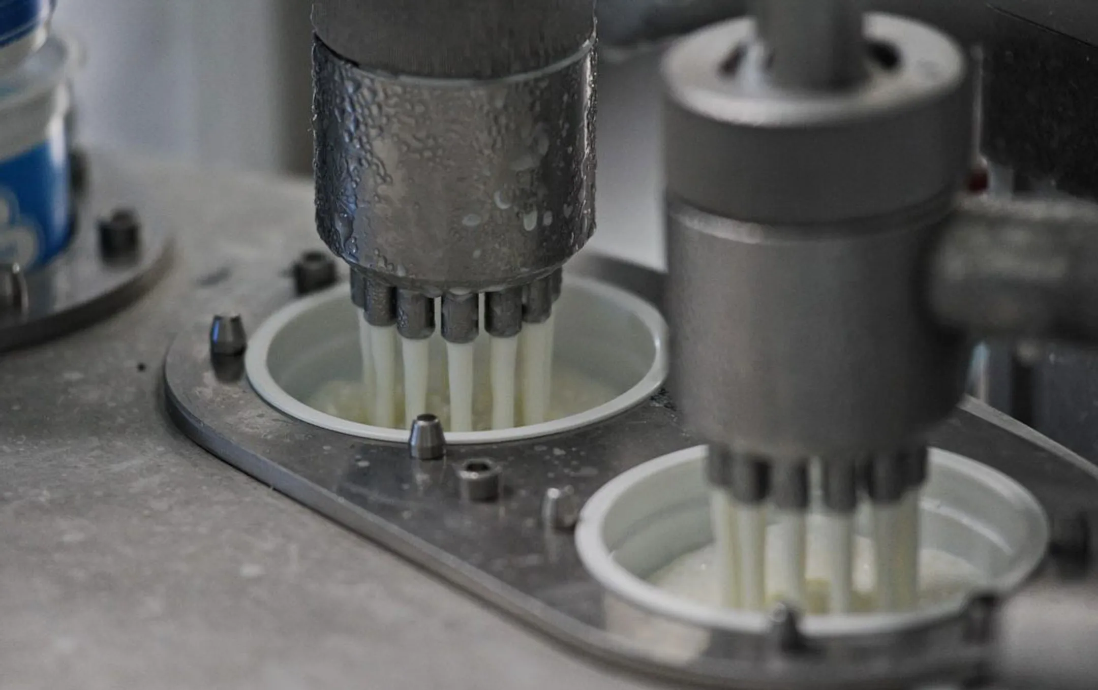 В молочной продукции обнаружены опасные бактерии - Image Kapital.kz