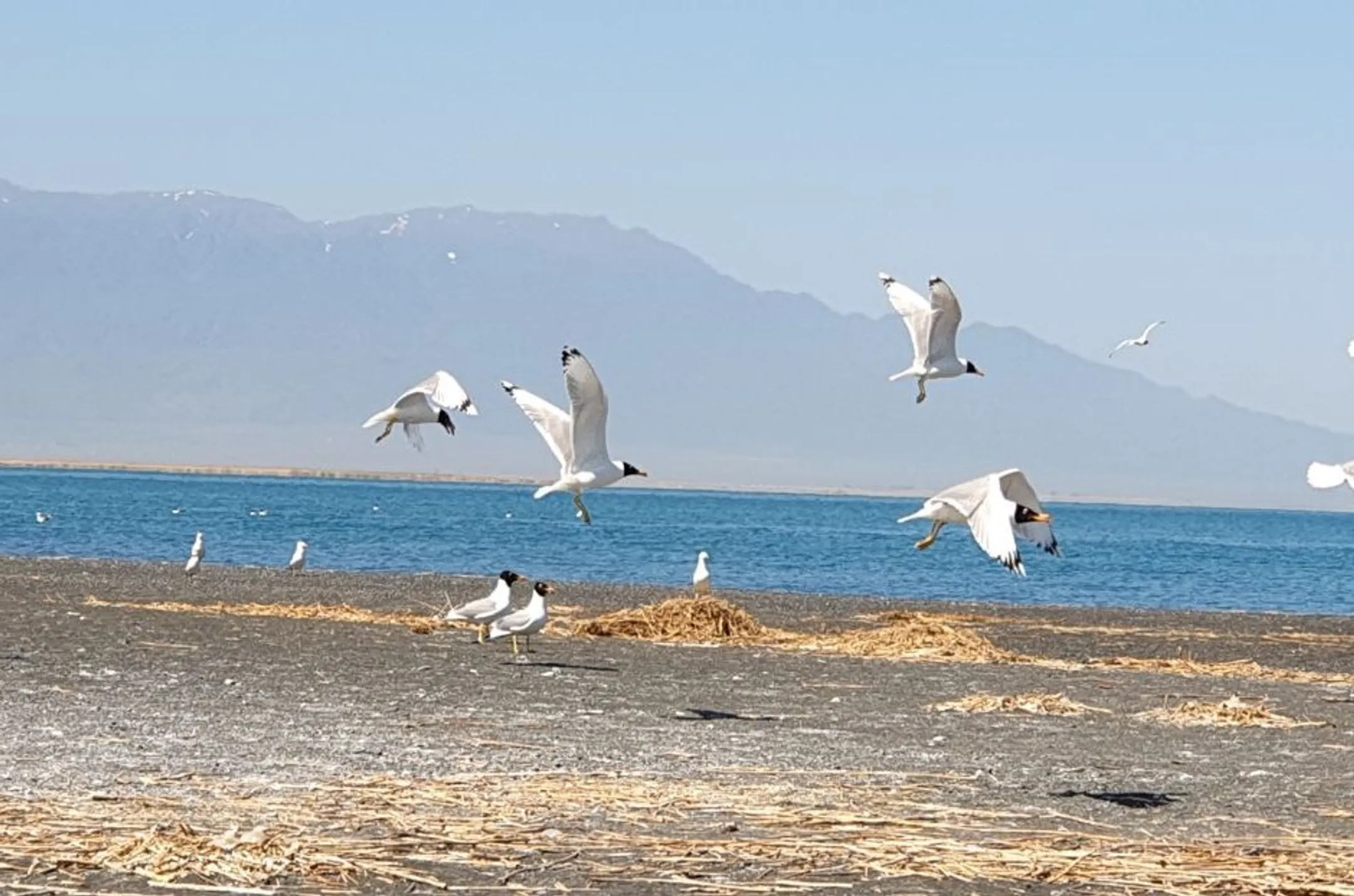 Экотуризм – перспективное направление для Алматинской области - Image Kapital.kz