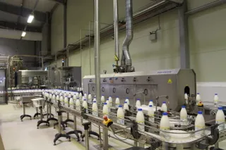 Капитал - Производители молока поддерживают свободный курс