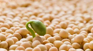 Економічна правда