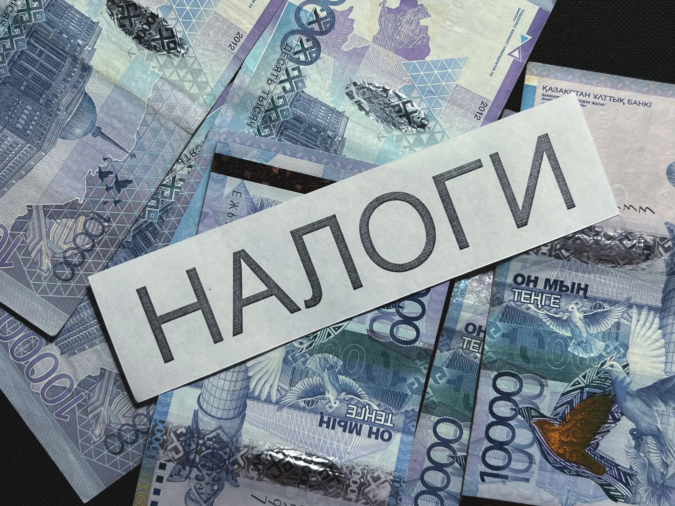 Фото: Валерия Змейкова