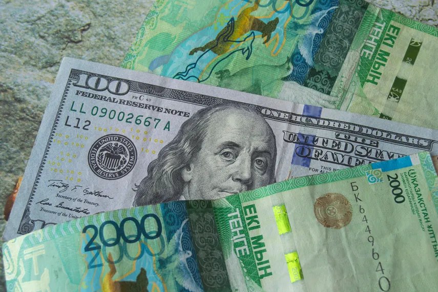 Фото: Валерия Змейкова 