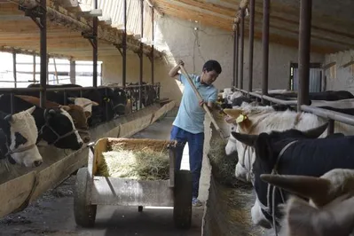 В Южно-Казахстанской области создадут свыше 600 кооперативов