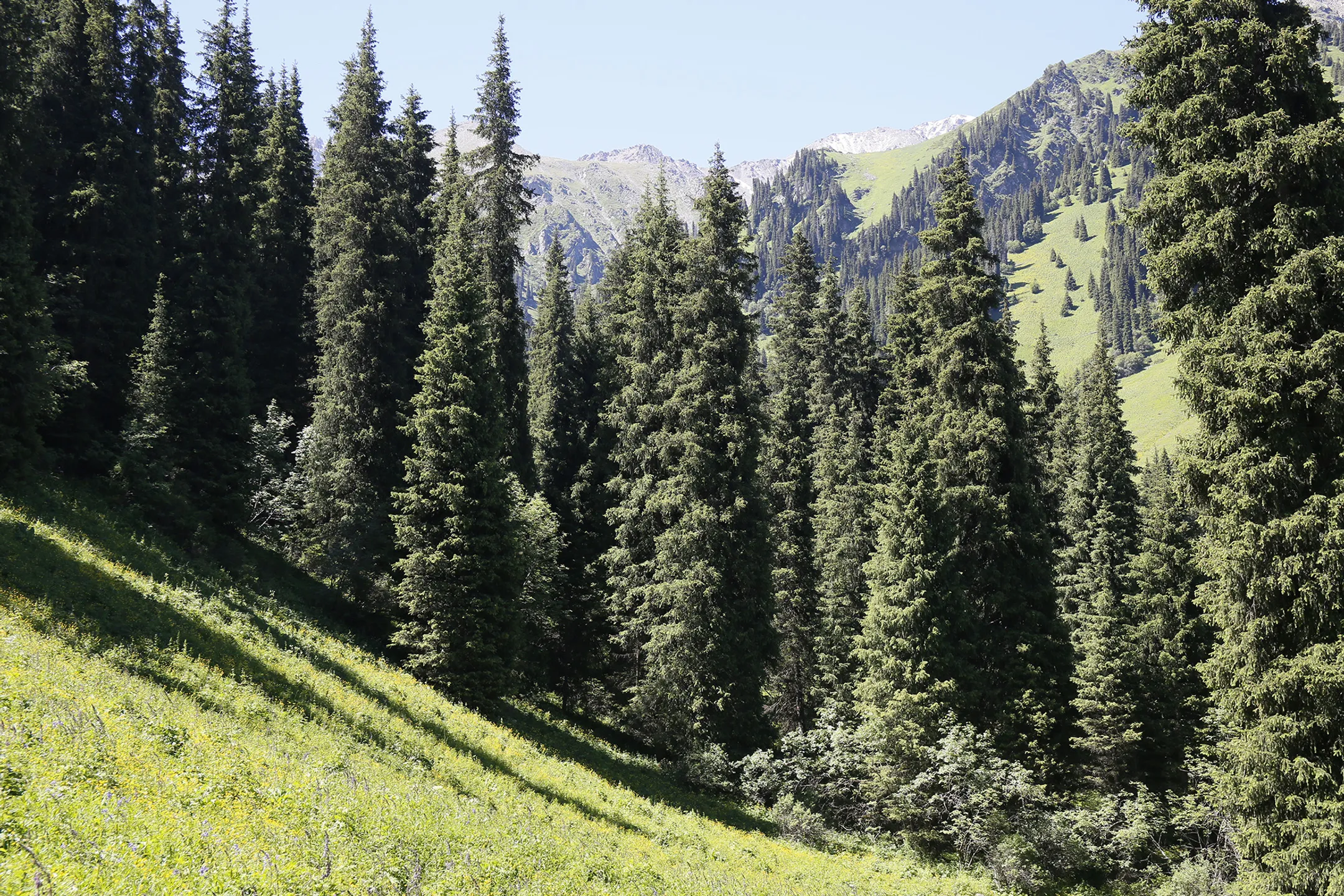 Топ-15 мест в Казахстане, которые стоит посетить каждому - Image Kapital.kz