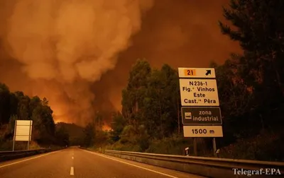 62 человека погибли за день пожаров в Португалии