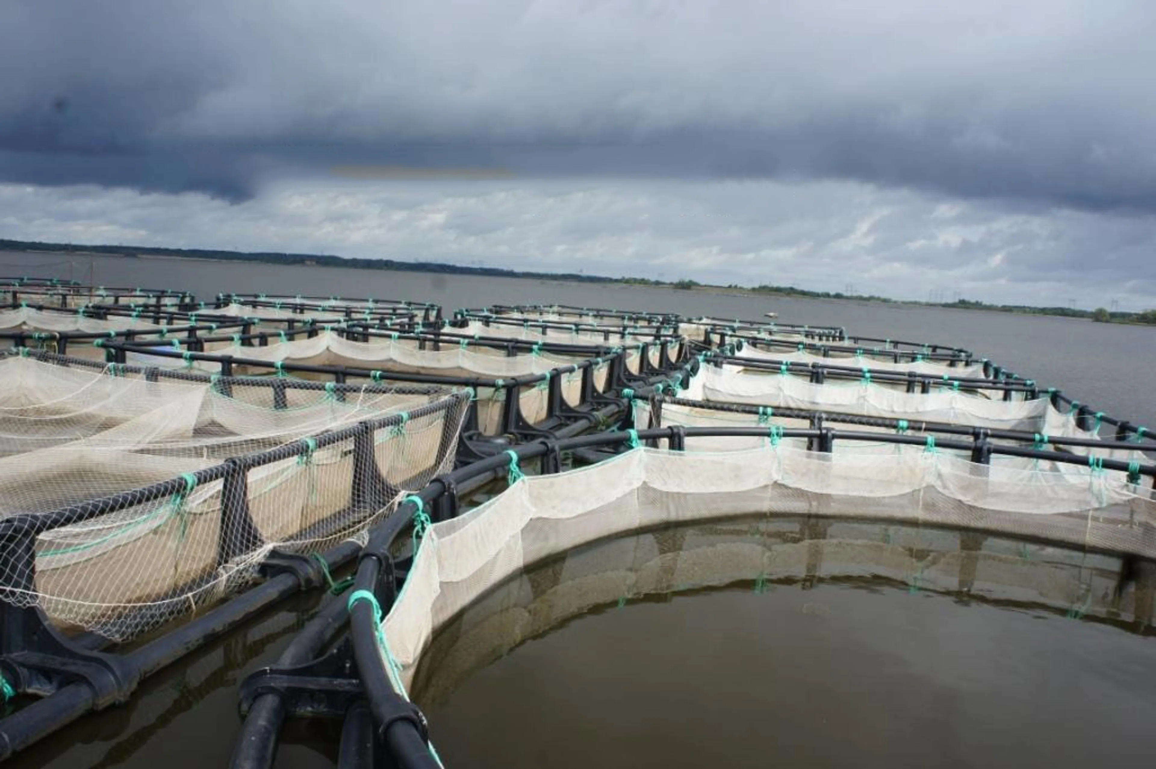 Капитал - Водохранилища в Казахстане будут приносить прибыль