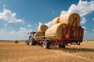 Капитал - Глава РК о ценах на продукты: Пора навести порядок