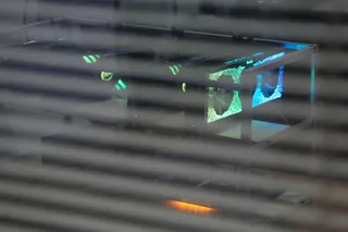 Фото: Руслан Пряников