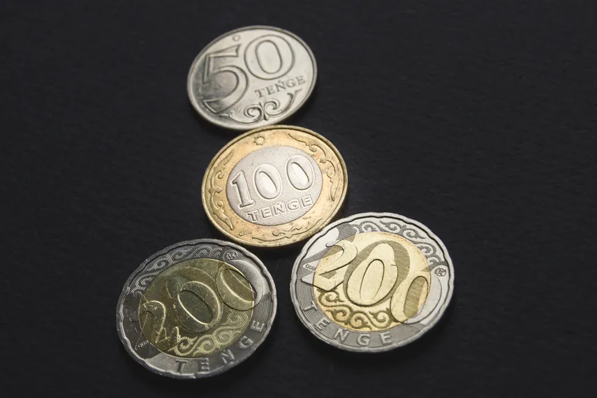 фото: Валерия Змейкова