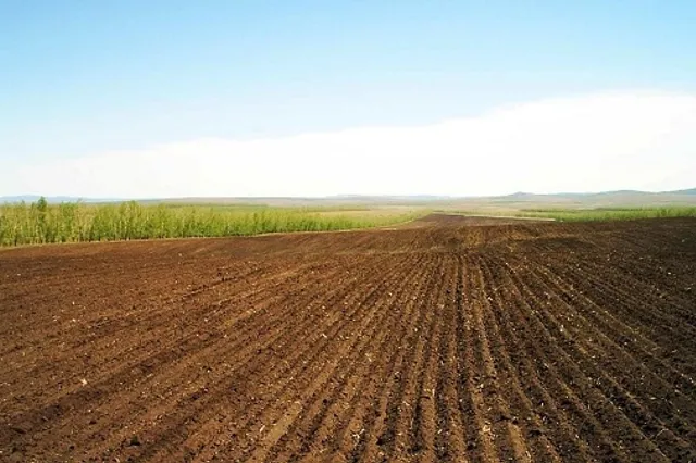AgroXXI