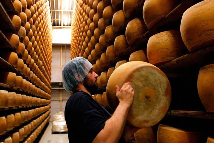 Капитал - В Голландии подсчитали убытки от санкций