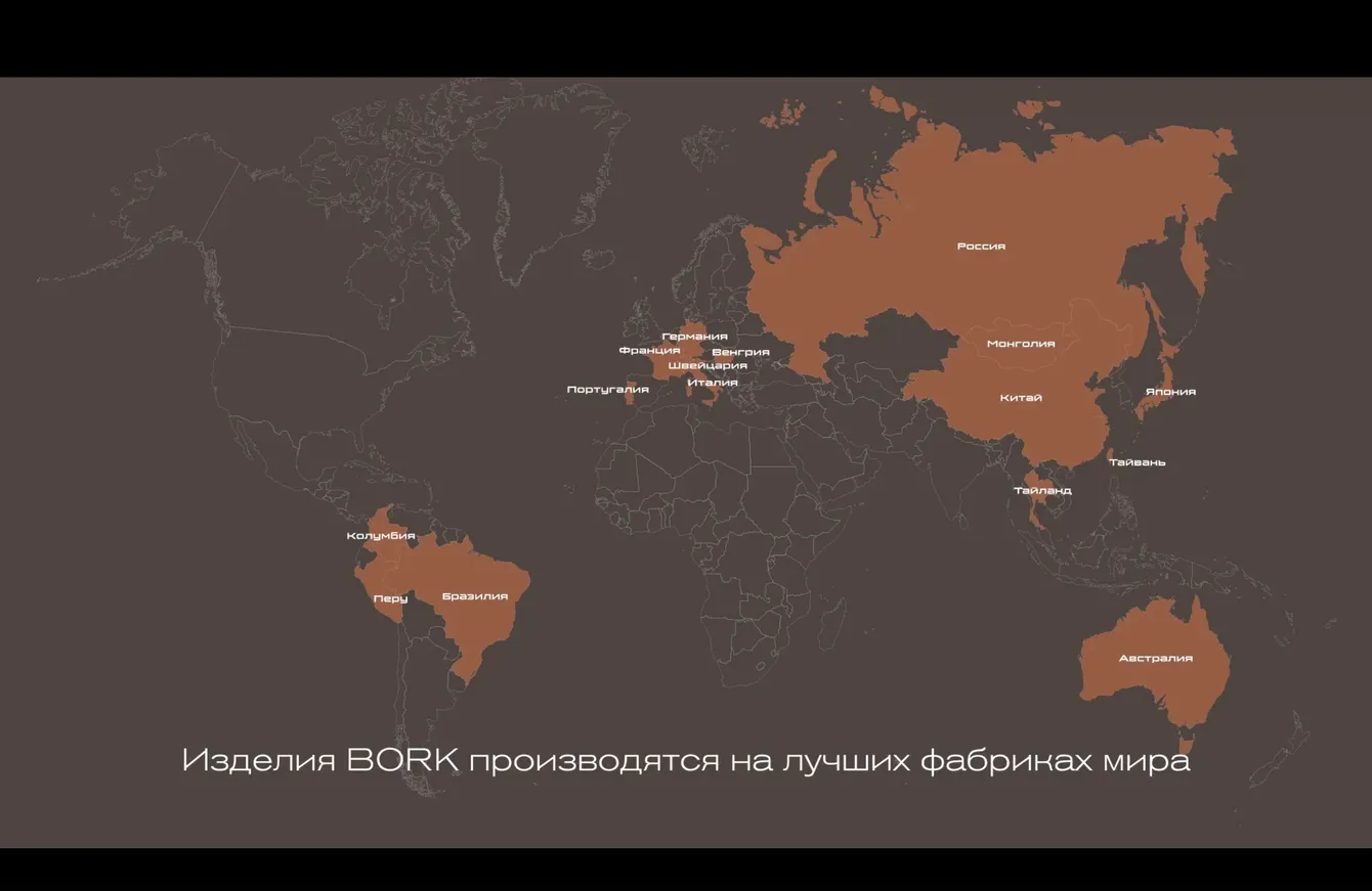 Фото:&nbsp;скриншот видео с сайта bork.ru