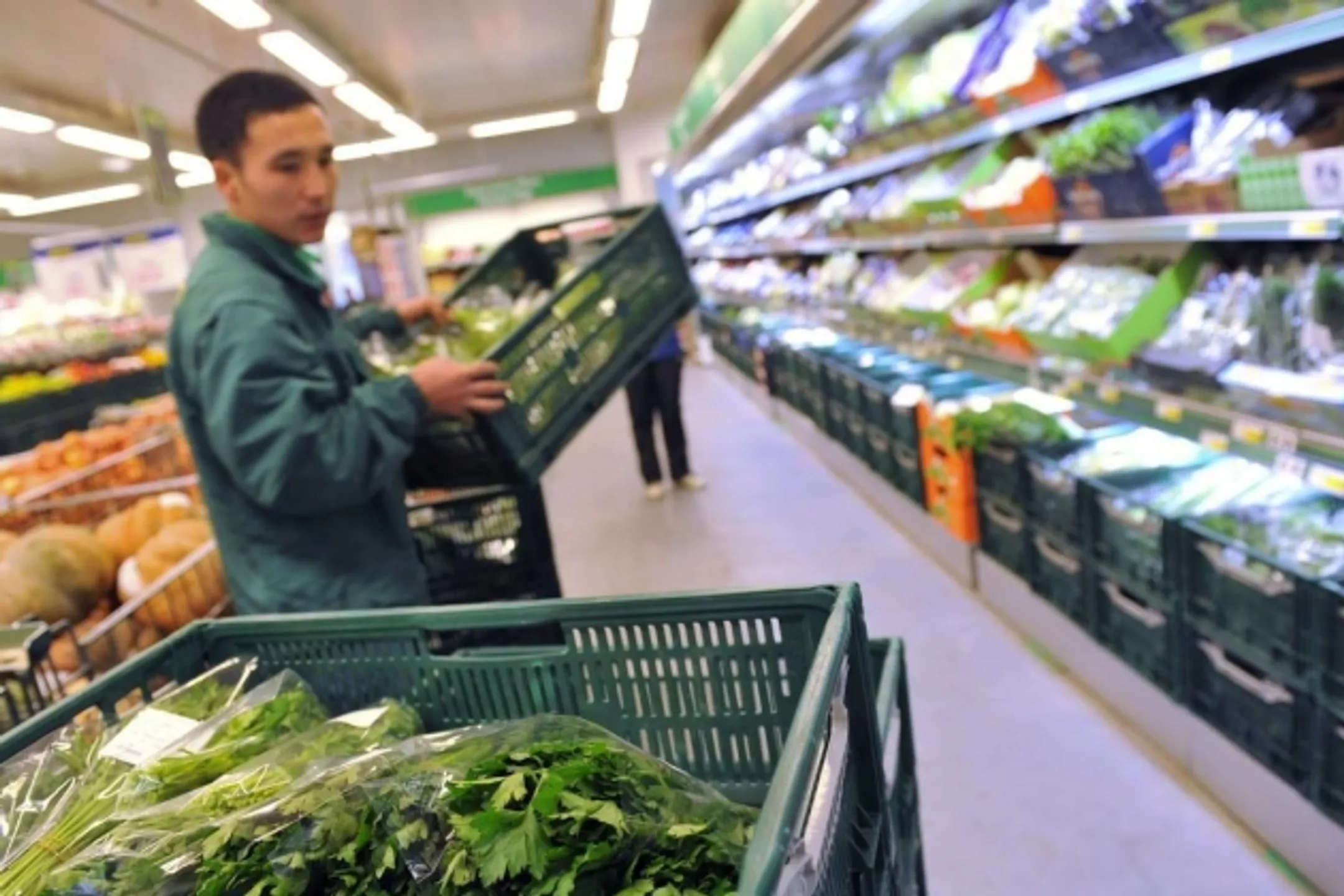 В РК разработают стандарты производства органической продукции - Image Kapital.kz