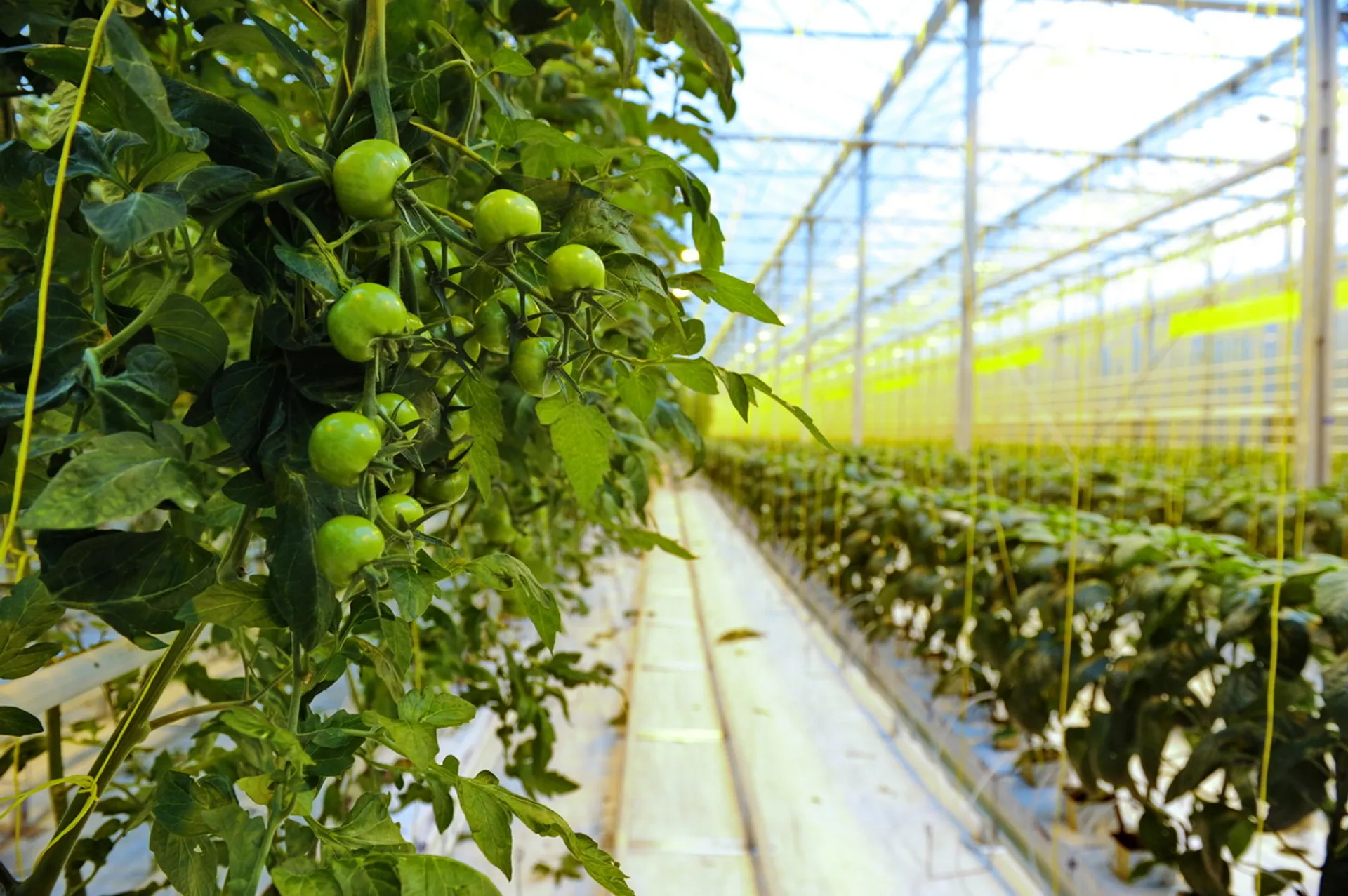 Фото: Владимир Третьяков