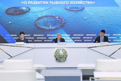 Фото: Комитет рыбного хозяйства 