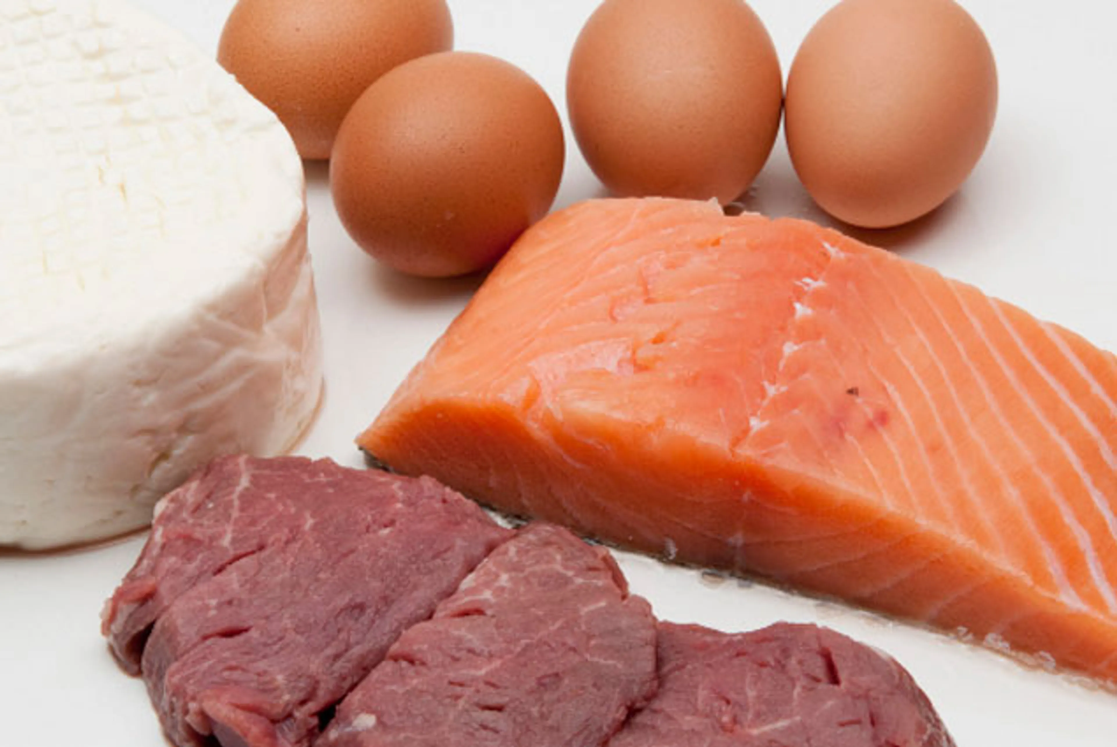 Капитал - Ввоз каких товаров запрещен Россией?