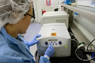 Фото: Владимир Третьяков