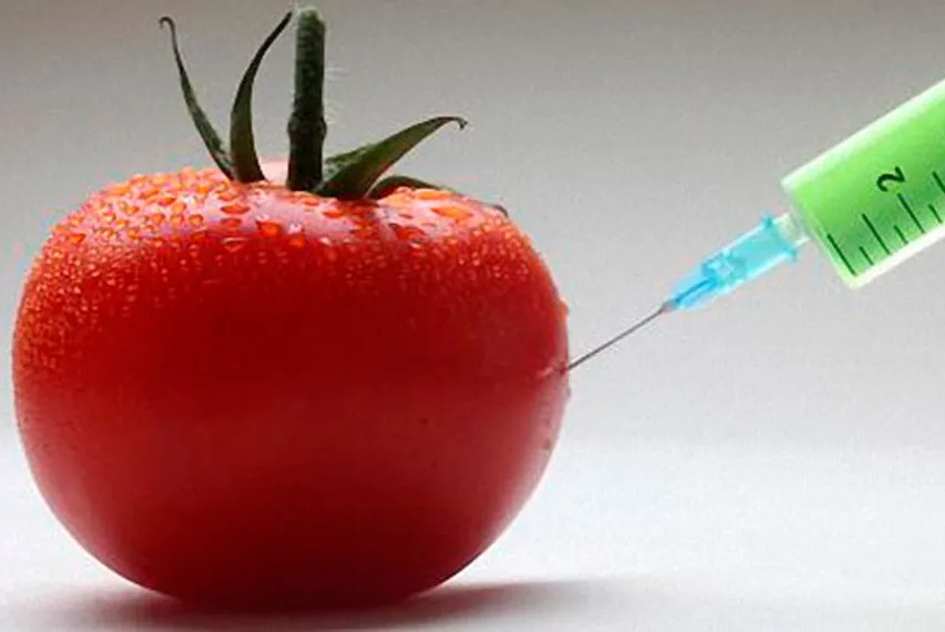 Капитал - Кыргызстан не в состоянии обеспечить себя продуктами