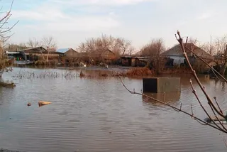 Капитал - Безопасность на Кокпекты госорганы не контролировали