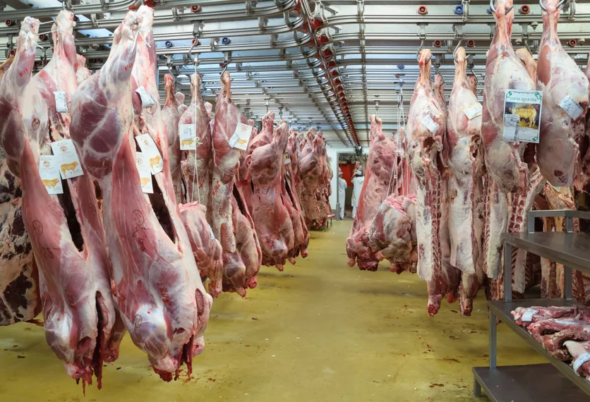 Капитал - Свыше 3 тыс. тонн мяса экспортировал РК в 2013 году