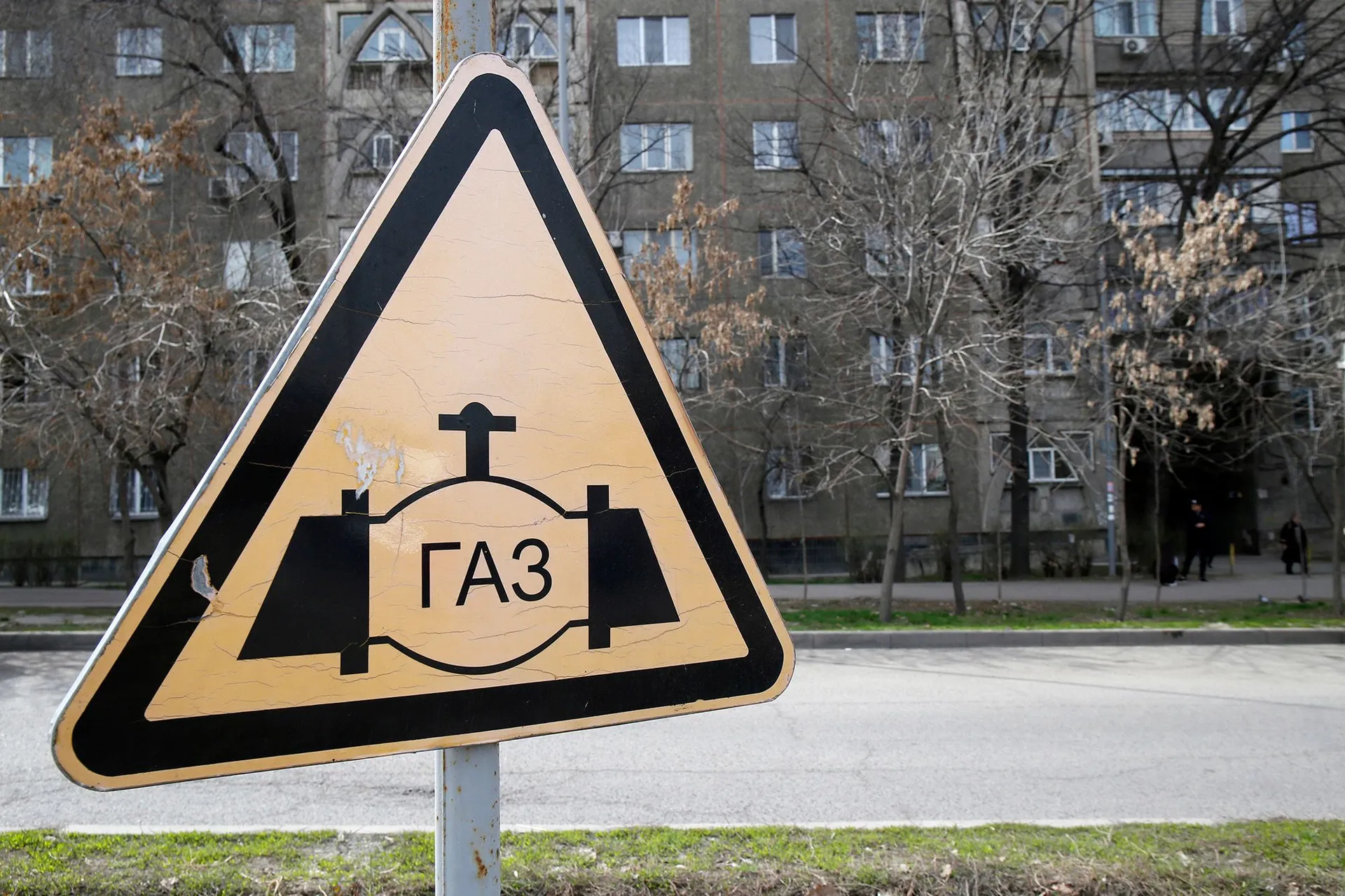 Фото: Руслан Пряников