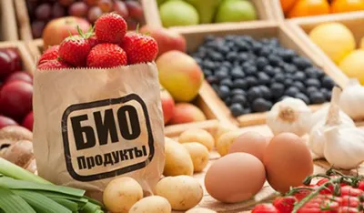 Казахстан может стать мировым производителем органической продукции